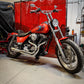 1982-1994 FXR - LANESPLITTER